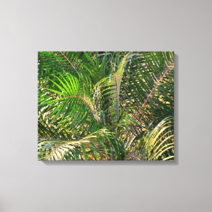 Zonnepalmhulzen Tropisch Canvas Afdruk
