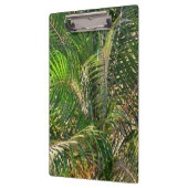 Zonnepalmhulzen Tropisch Klembord (Links)