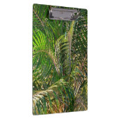 Zonnepalmhulzen Tropisch Klembord (Rechts)