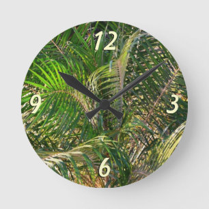 Zonnepalmhulzen Tropisch Ronde Klok