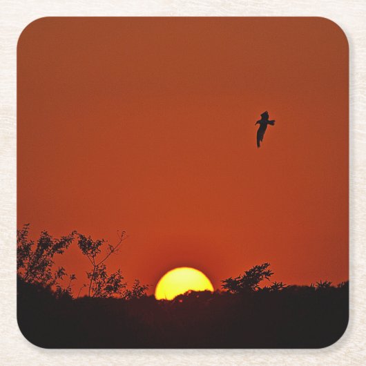 Zonnepartijdig Onderzetter (Voorkant)