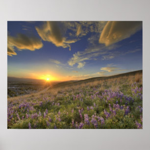 Zonneplaat over de Bitterroot Mountains en de grot Poster