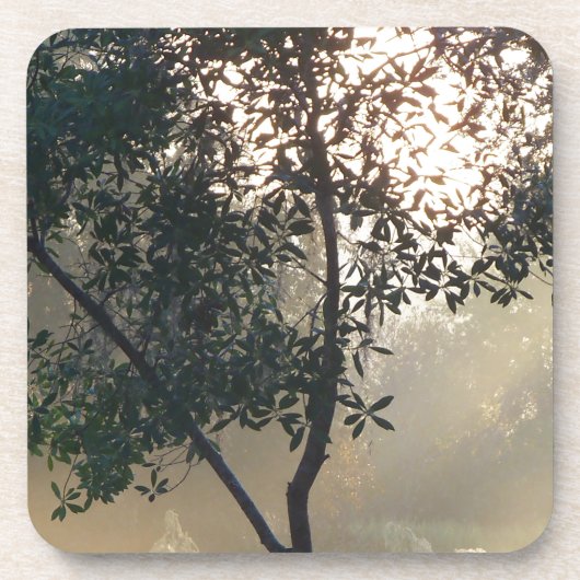 zonnescherm drankjes onderzetter (Voorkant)