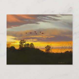 Zonneset met Gese Flying JW Briefkaart
