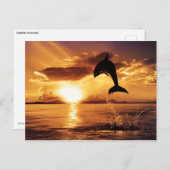 Zonnespringen Briefkaart (Voorkant / Achterkant)