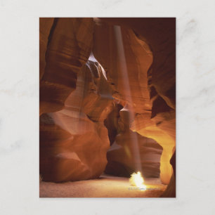 Zonnestraal die op de vloer van de canyon tumblewe briefkaart