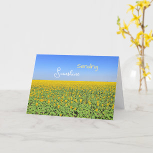 Zonnestraal Zonnebloemenveld Wenskaart Kaart