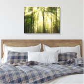 zonnestralen door bomen canvas afdruk (Insitu (Slaapkamer))