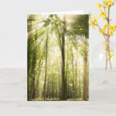 zonnestralen door bomen kaart (Gele Bloem)