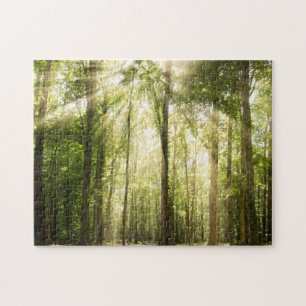 zonnestralen door bomen legpuzzel