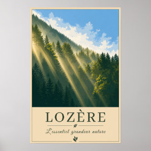 Zonnestralen door het bergbos poster