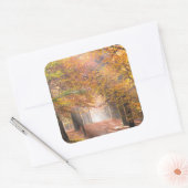 Zonnestralen in een herfst bos sticker (Envelop)