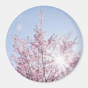 zonnestralen passeren roze bloemen van een wow - b magneet