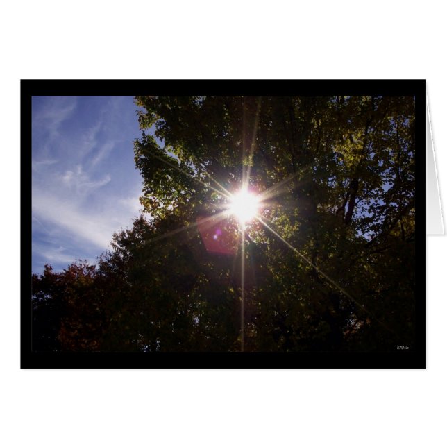 Zonnestralen (zwart aan de rand) (Voorkant Horizontaal)