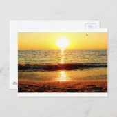 Zonnestrand, Cape May NJ Briefkaart (Voorkant / Achterkant)