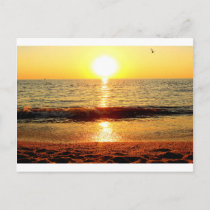 Zonnestrand, Cape May NJ Briefkaart