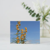 Zonnestromen uit Minnesota Briefkaart (Staand voorkant)