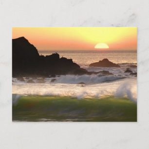 Zonnesurfer Briefkaart