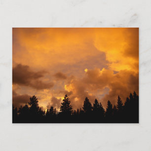 Zonnetijd in de Sierras - Briefkaart