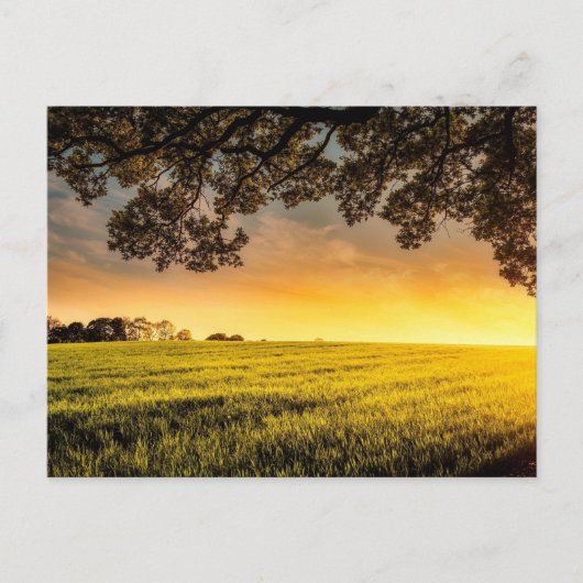 Zonnetijd in landschap briefkaart (Voorkant)