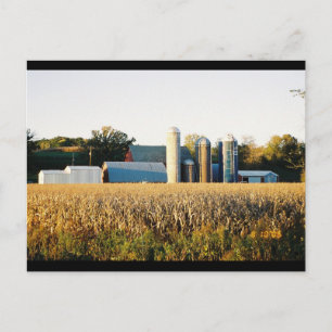 Zonnetijd op het Boerderij Briefkaart