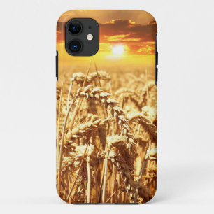 Zonnetijd over het Cornfield iPhone 11 Hoesje