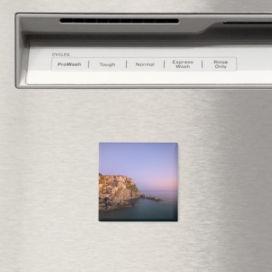 Zonnetijd over het dorp Manarola in Cinque Terre Magneet (Insitu (Vaatwasser))