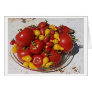 Zonnetuin Collectie ~ Tomaten