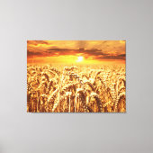 Zonneveld en warmteveld canvas afdruk (Voorkant)
