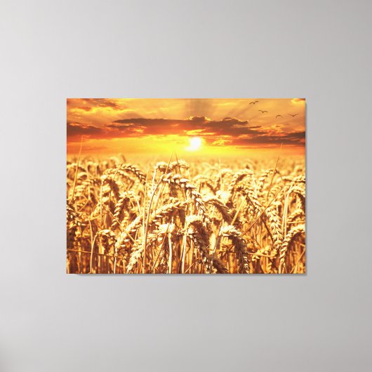 Zonneveld en warmteveld canvas afdruk (Voorkant)