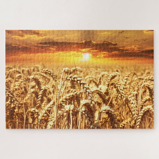Zonneveld en warmteveld legpuzzel (Horizontaal)