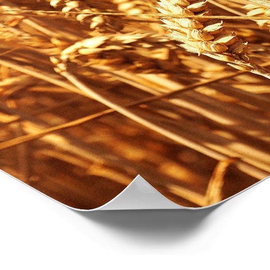 Zonneveld en warmteveld poster (Hoek)