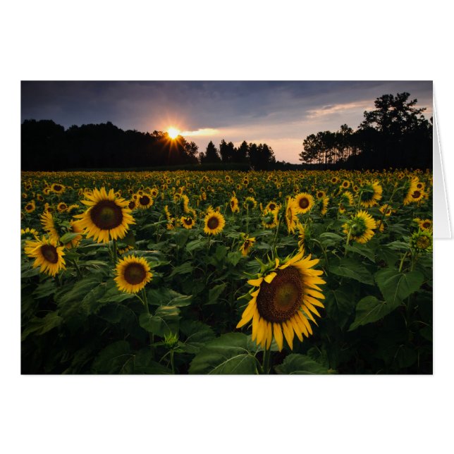 Zonneventilator (Voorkant Horizontaal)