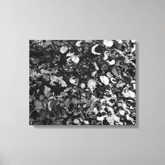 Zonneverlichte bladeren canvas afdruk (Voorkant)