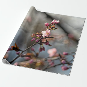 Zonnevolle Sakura-bloemen tegen de wolkenhemel Cadeaupapier