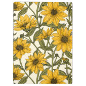 Zonnewortel, wilde zonnebloem op off white klembord (Achterkant)