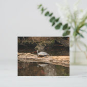 zonnezeeschildpad briefkaart (Staand voorkant)