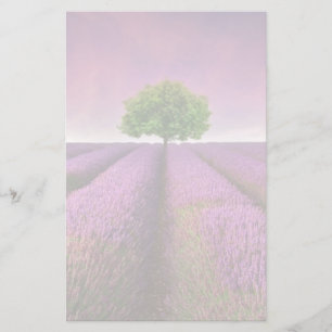 Zonnezondag in het landschapsgebied van Lavender Briefpapier