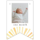 Zonnezongeel - zeemijlpalen Foto's Vlaggetjes (Derde vlag)