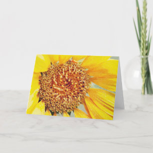 Zonnezonnebloem Blank Kaart
