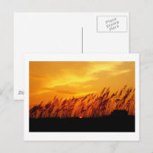 Zonnezonsondergang Briefkaart (Voorkant / Achterkant)