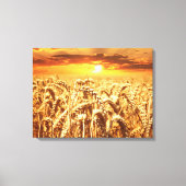 Zonnezonsondergang in tarwegebied canvas afdruk (Voorkant)