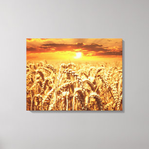 Zonnezonsondergang in tarwegebied canvas afdruk