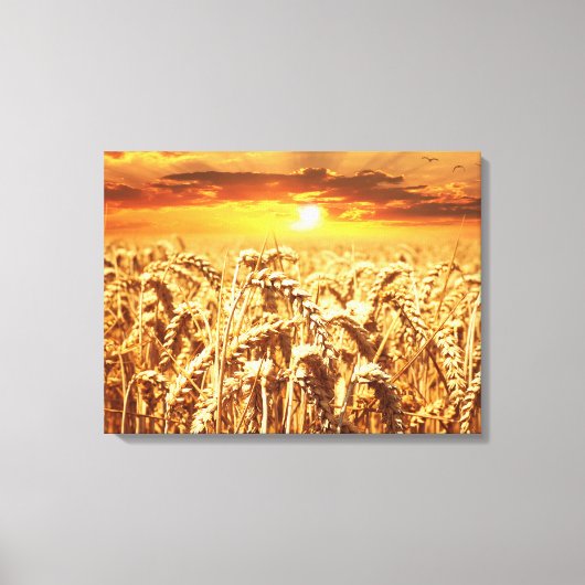 Zonnezonsondergang in tarwegebied canvas afdruk (Voorkant)