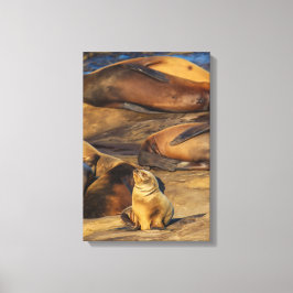 Zonnig! Canvas Afdruk