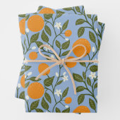 Zonnig Citrus Sinaasappels Grove Pattern Inpakpapier Vel (In situ)
