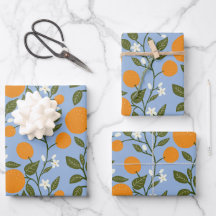 Zonnig Citrus Sinaasappels Grove Pattern