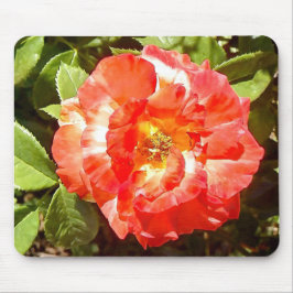 Zonnig dag Roos....... Muismat