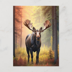 *~* Zonnig Golden AP49 MOOSE Natuur Bos Briefkaart