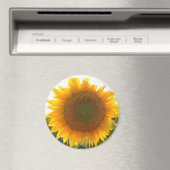 Zonnig hart magneet (Insitu (Vaatwasser))